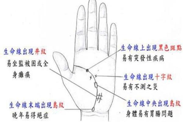看掌识人：揭秘手相背后的惊人真相