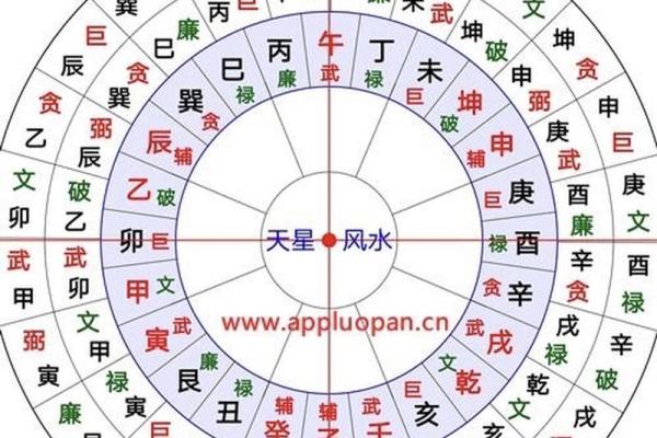 山五行属什么解析