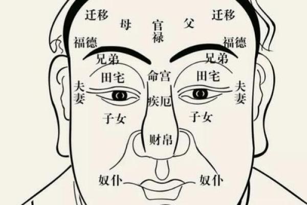 面相鼻子善良，揭秘福星气质！
