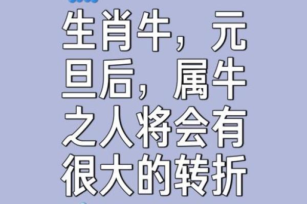 属牛人运势起伏与突破