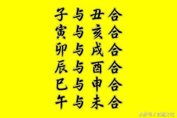 酉金克寅木，地支相克背后的奥秘大揭秘
