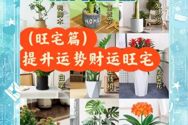 家居风水揭秘：打造旺宅秘籍，让财运亨通！
