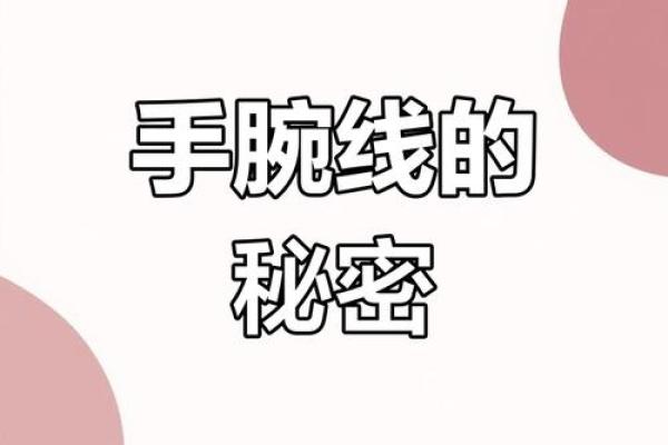 手腕纹路揭秘：探寻命运的秘密通道