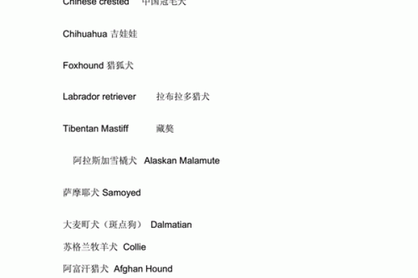 狗宝宝起名：温馨犬语