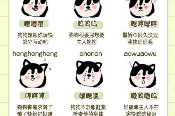 狗宝宝起名：温馨犬语