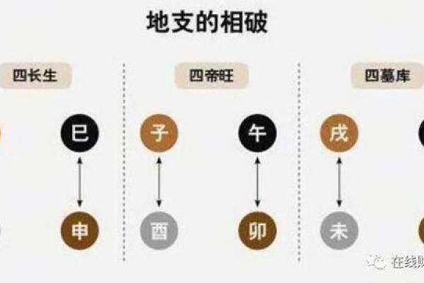 地支强弱大揭秘：哪些地支更胜一筹？