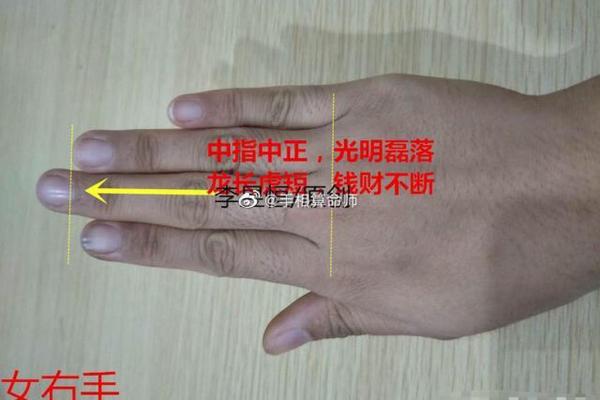 玉柱纹手相揭秘：财运亨通的秘密武器