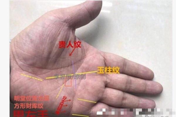 玉柱纹手相揭秘：财运亨通的秘密武器