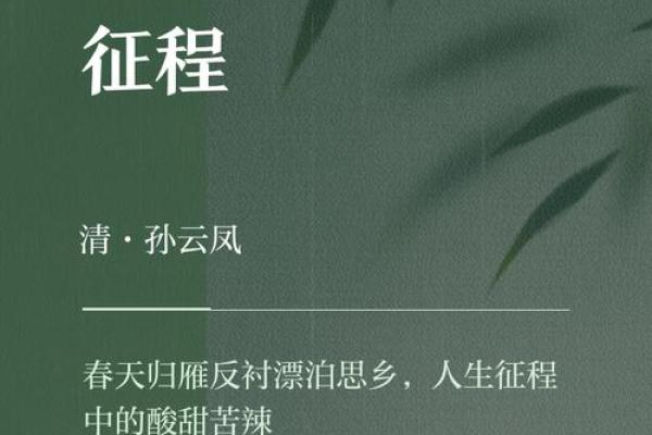 探索人生哲理的指尖之旅