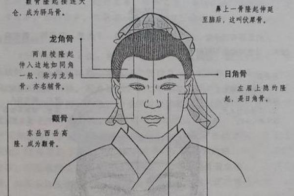 无女鬓之面相奥秘