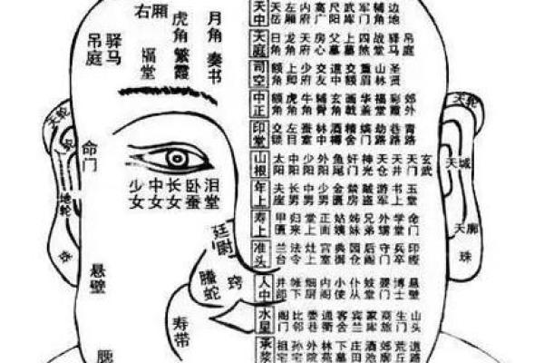 面相口阔运势旺，财运亨通人生赢家！