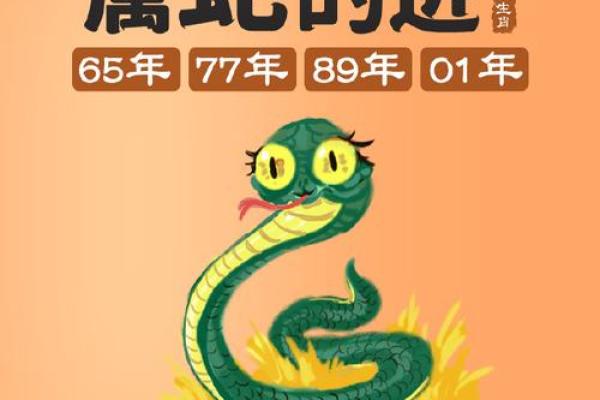 29岁运势大揭秘：开启财富、事业双丰收之路！