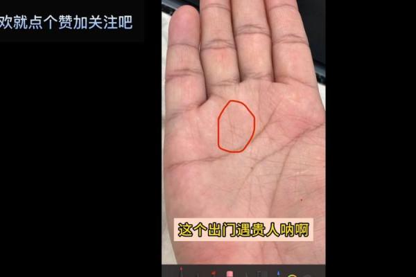 解码成功者手相密码