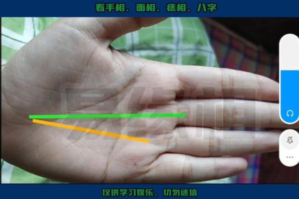 解码成功者手相密码
