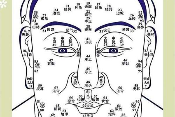 水命面相：揭秘面相中的水润魅力