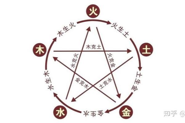 出生属什么五行