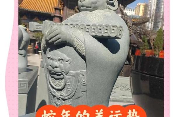 男羊运势预测：从财运到感情的全面影响