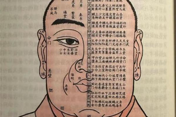面相揭秘：颧骨高低与命运起伏的神秘关联
