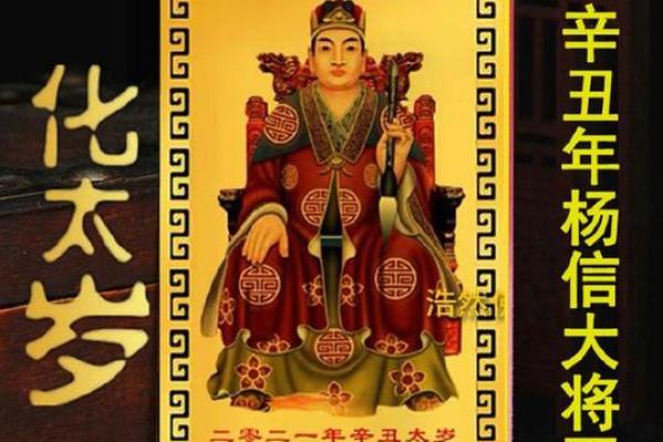 王璐：璀璨如星，智慧与美丽并存的姓名运势解析