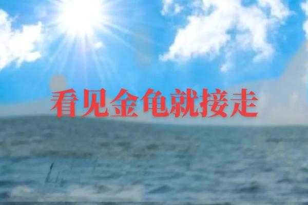 手中金龟现，财运亨通人生赢家必备