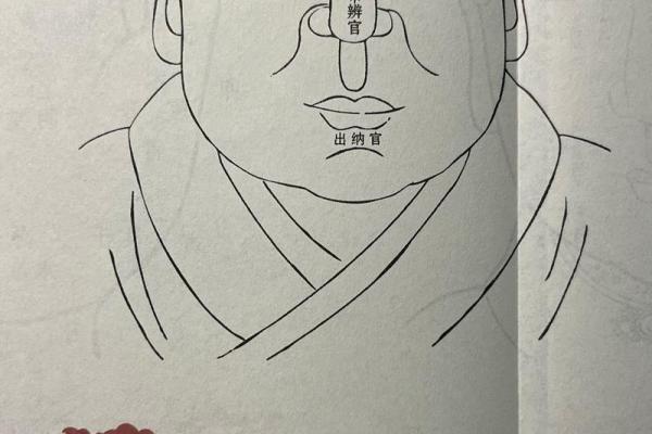 面相解码：左额偏面相的奥秘揭示