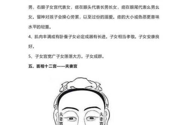 面相揭秘：扫脸测命运，一瞥之间窥人生