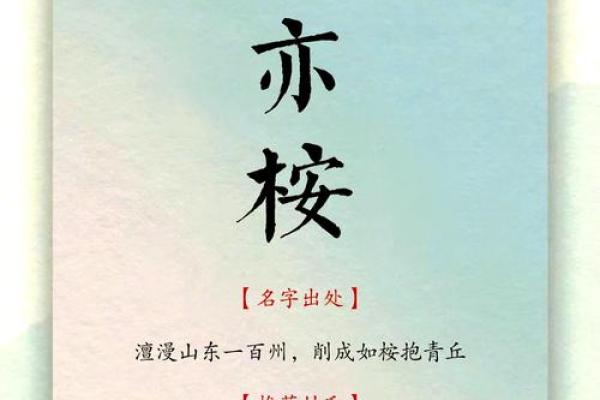 含隽名字的独特魅力与象征意义