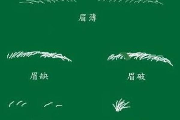眉毛缺失，命运转折——揭秘老人面相之眉毛缺失奥秘
