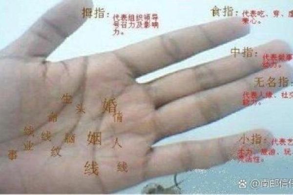 手相密码：揭秘离位中的命运转折