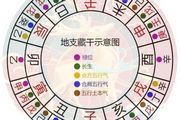 地支藏干深度解析：最强数据表曝光