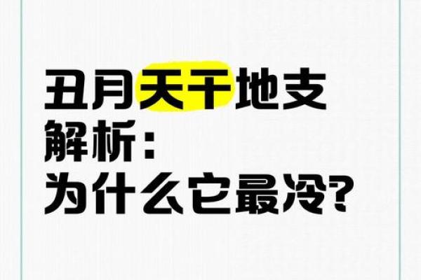 丑时月下，揭秘地支的神秘力量
