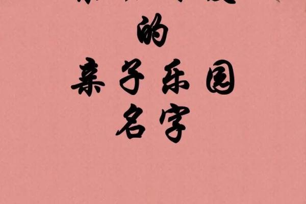 萌宠起名大作战：创意名字背后的故亿