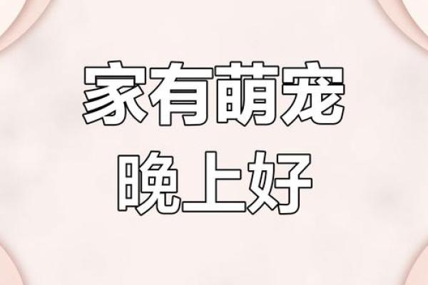 萌宠起名大作战：创意名字背后的故亿