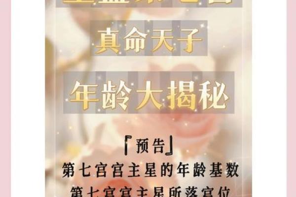 一眼识真命天子：揭秘面相中的妻妾运势