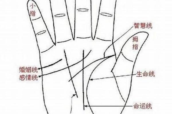 手相婚姻线图解：看懂这四条线，你的幸福婚姻就在眼前！