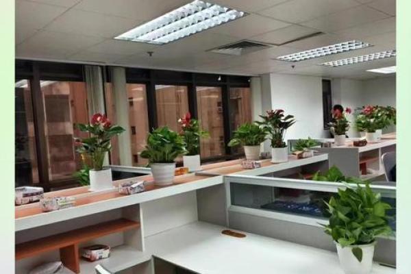 路冲风水化解法，办公室事业翻倍增长指南！