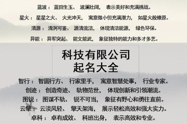 公司起名与法人代表的关系解析
