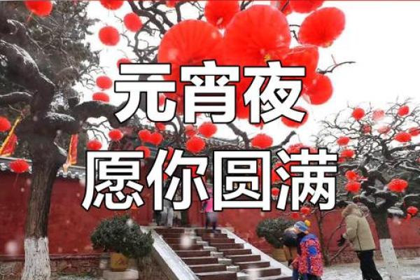 烟花璀璨世界梦，元宵佳节共团圆