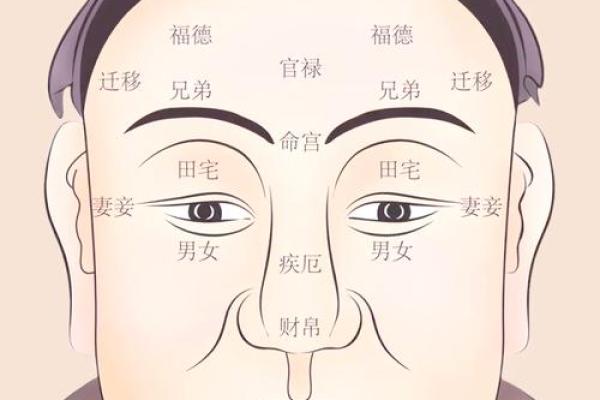 面相揭秘：善恶之分的神秘面纱