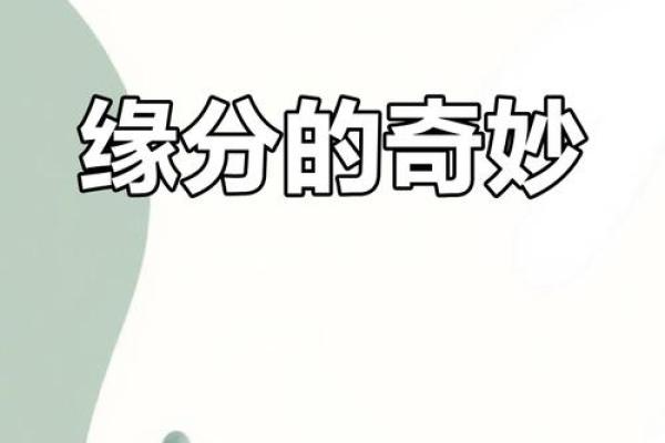 命运红线：揭秘你的天定缘分
