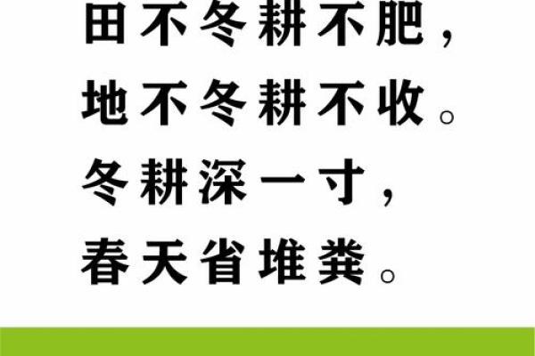 田良：蕴藏良田之福，人生丰收在望