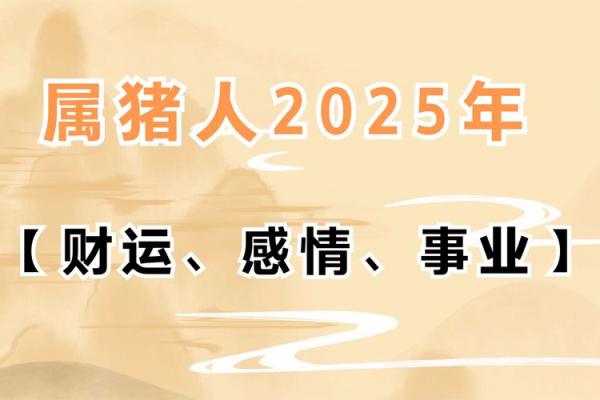 猪年每月运势大揭秘：运势飙升，财运亨通