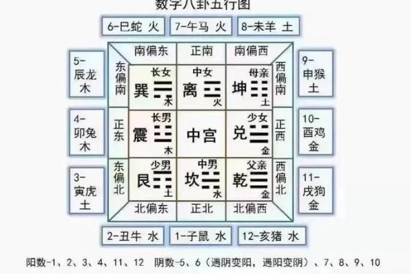 布局大师亲授！家居风水教程，让你家财运亨通，运势飙升！