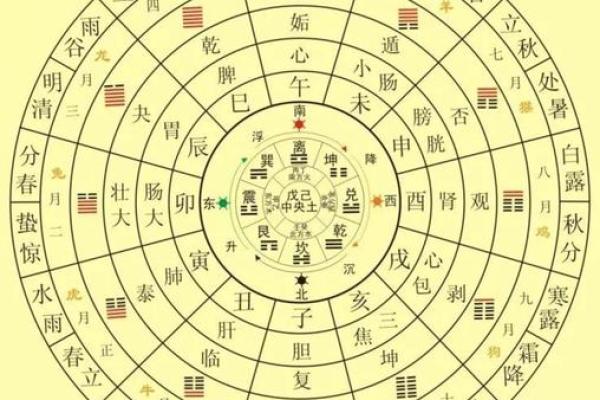 地支力量：揭秘生肖性格与命运之间的神秘联系