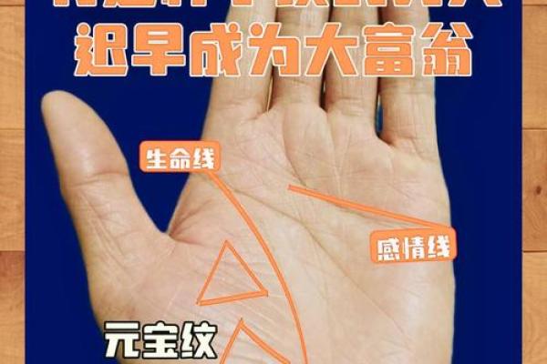神秘簊萝手相术，揭秘你的命运轨迹