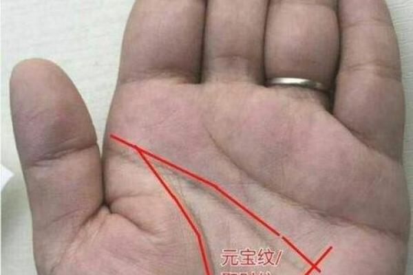 神秘簊萝手相术，揭秘你的命运轨迹