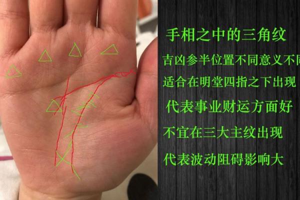 手指间的命运密码，手相宫位解析大公开