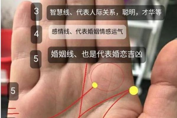 手指间的命运密码，手相宫位解析大公开