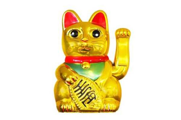 家居风水大揭秘：八大绝招助你财运亨通