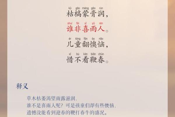 立春家居风水秘籍：迎春接福，布局新气象